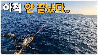 시즌 막바지 한치낚시 상황은?