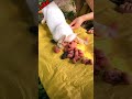 so cute baby rabbit 🐰🐰 giving birth baby & #rabbit #cute #shorts