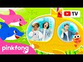 Under the Sea | Swim with Sea Animals! | Dance Along | Kids Rhymes | Pinkfong Videos for Children