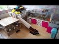 Tour Of My 'Pet Room' Tour Of My 'Pet Room'
