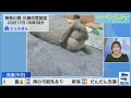 ウェザーリポート 2024 03 17 魚住茉由