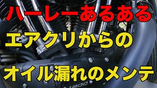 【お手入れ】エアクリからのオイル漏れのメンテナンス[motovlog][HaeleyDavidson][IRON1200]