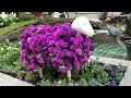 floral sheep 🌷🐑🌼🌹🐑🌸 in rockefeller center for easter weekend in new york city