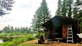 RESTORING AN OLD LOG CABIN IN THE MAINE WOODS (with a dog)