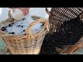 how to preserve olives in salt