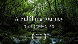 [야쿠시마 섬 | Yakushima] A Fulfilling Journey | 생명이 충만해지는 여행 [Promotion] [4K]