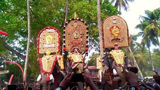 Mangalamkunnu karnan vs uttoly anandhan vs chirakkal kalidasan vs sk parthan vishu pooram 2018