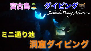 宮古島🏝️ダイビング🤿下地島・ミニ通り池🪸😆👍2022年11月