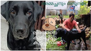 LEO ❤ // ലിയോനെ കുളിപ്പിച്ചു കുട്ടപ്പനാക്കി // leo bathing // pet dog ❤