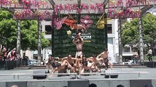 Formosa Circus Art (FOCA) Performance - Part 1 | 2024 Taiwanese American Cultural Fest