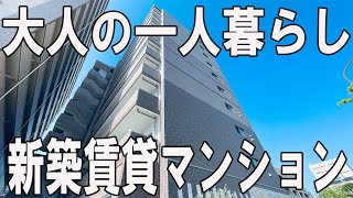 一人暮らし オシャレで開放的な眺望1K賃貸マンション