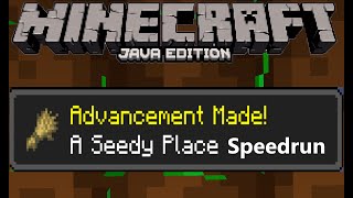 Minecraft Java Speedrun: A Seedy Place Advancement | Set Seed Glitchless | In 00:1.109