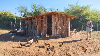 MINHA VIDA TRANQUILA EM UMA CASA NA ROÇA*COM MINHA FAMÍLIA OS ANIMAIS  NATUREZA CULINÁRIA  Asmr