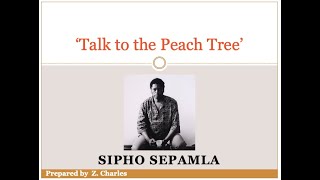 Talk to the Peach Tree: line-by-line analysis (English Home Language poetry)