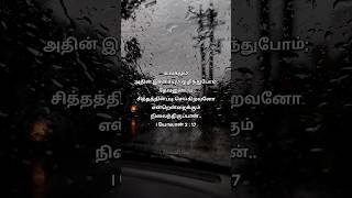 Bible Verse TAMIL | தமிழ் வேத வசனம்|#161 I யோவான் 02 17  #HannielBibleVerse #shorts  #hannielway