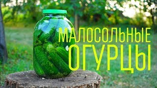 Огурцы малосольные быстрого приготовления. Малосольные хрустящие огурцы в банке