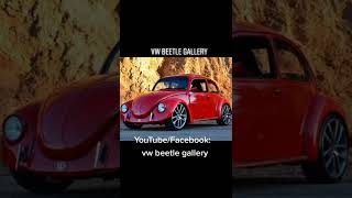 #vw beetle gallery #vwbeetle#vw #volkswagen #aircooled #beetle #vwbug #fusca #vwfusca #aircooledvw