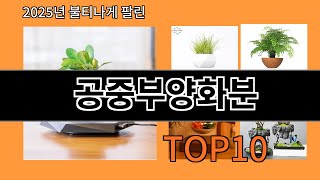 공중부양화분 2025 필수 알리익스프레스 선택 Top 10