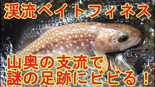 【渓流ベイトフィネス】山奥の支流で見た謎の足跡の正体は？？　ズームサファリ(ZoomSafari)のベイトロッド＋アンバサダー2500C