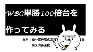 【スタポケ】WBCで100倍代の馬を作る【検証】