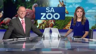 San Antonio Zoo: 2025 Year in Review