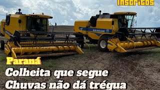 ✅ COLHEITA DE SOJA SAFRA 24/25 - INÍCIO OFICIALMENTE COM TEMPO BEM CHUVOSO!🇧🇷⛈️⛈️