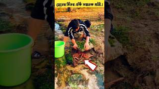 স্লাপের নিচে ভয়ানক হোয়াইট স্নেক..😳 || White Snake Tools Item \u0026 Amazing fishing skills #shorts #ews