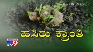 Datanal ದಾಟನಾಳ ಗ್ರಾಮದ ವಿಶ್ವ ಪರಿಸರ  ದಿನಾಚರಣೆ  ಆಚರಣೆ 5/6/2017