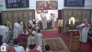 Divine Liturgy - 2nd Sunday of Koiahk - 12/22/2024