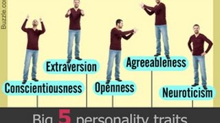 Understanding the Big Five Personality Traits With Examples