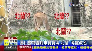 壽山動物園羚羊寶寶叫北蘭考慮改名