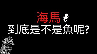 [冷知識-動物篇]海馬到底是不是魚呢??