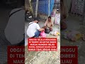 semoga beliau cepat di pertemukan dengan keluarga 🤲 odgjlampung odgjwanita short viral