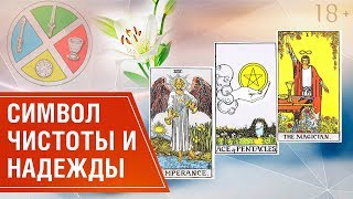 Какое значение несут в себе символы Таро? Характеристика символа Лилии // Расшифровка карт Таро 18+