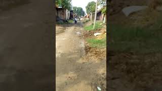 Video gram ranipur tola dandanhwa