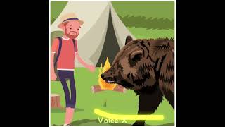 கரடி கிட்டருந்து தப்பிக்க இந்த 4 விஷியத்தை பண்ணுங்க | Bear Attack | Voice X