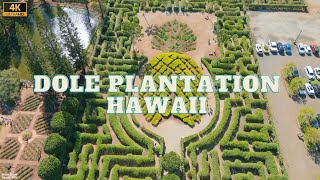 4K Drone Footage - Dole Plantation - Hawaii