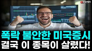 최고치 폭락 불안한 미국증시 유일하게 살린 종목은?