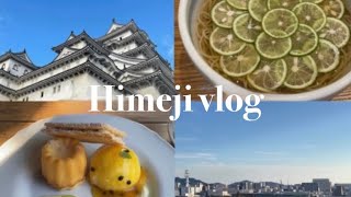 [vlog]日帰り姫路観光🏯観光地巡り/姫路城/すだち蕎麦/レモンスイーツ🍋