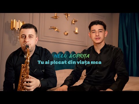 Nelu Popa Oprita De La Blaj Tu Ai Plecat Din Viata Mea Hit 2026 nelu-popa-oprita-de-la-blaj-tu-ai-plecat-din-viata-mea-hit-2026