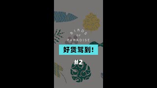 好货驾到 #2 Birds of paradise