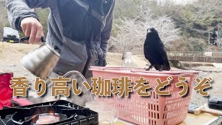 [コーヒーが飲みたいカラスのリキ] できれば飲ませてあげたいのですが…