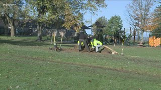 Planting 200 trees around Erie County