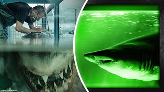 13 Kraken Tales: True Stories of Shark Attacks and Monster Sightings!