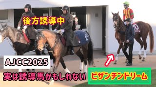 【AJCC2025】後方誘導する誘導馬の後方誘導をするビザンチンドリーム