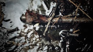 Black Forest 2 | Cinematic Short Film | α7Ⅳ × 28-75mm G2