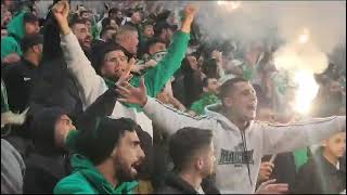 חי פה - חדשות חיפה: אוהדים מתפרעים במשחק הכדורגל (צילום: יוסף {ג'ו} הירש)