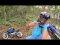 SOLO JUNGLE RIDE🔥 || MODIFY PULSAR || MOTOVLOG