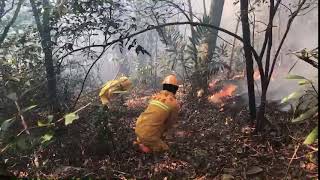 年假遇林火  林務空勤航特日月潭取水救火