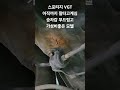 스포티지구형vgt 엔진오일교환 13년째 단골손님 의리로타고계심 초보정비시절부터 믿고맡겨주신 고마운손님 스포티지vgt